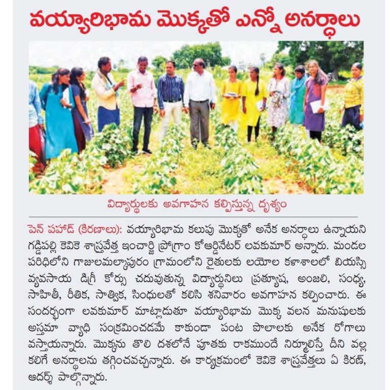 3784c4e5-d06d-46c1-bcf2-40e98a4f9d8b