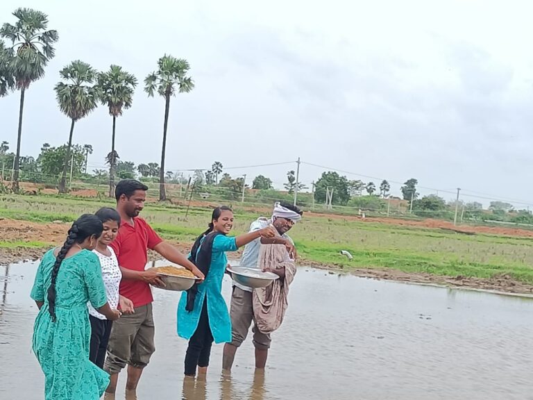 5daf140c-81fa-4eca-9080-afa8ef0fd01e