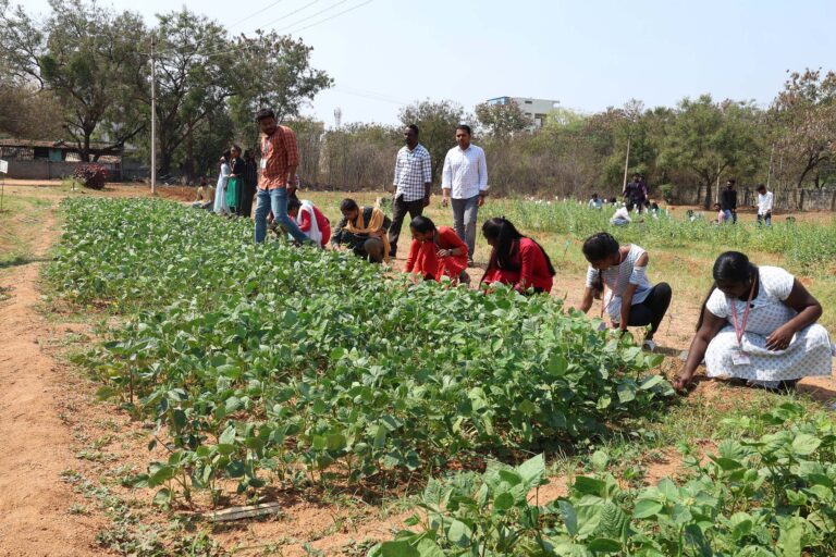 Agriculture