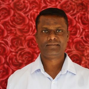 10306-E Harry Domenic